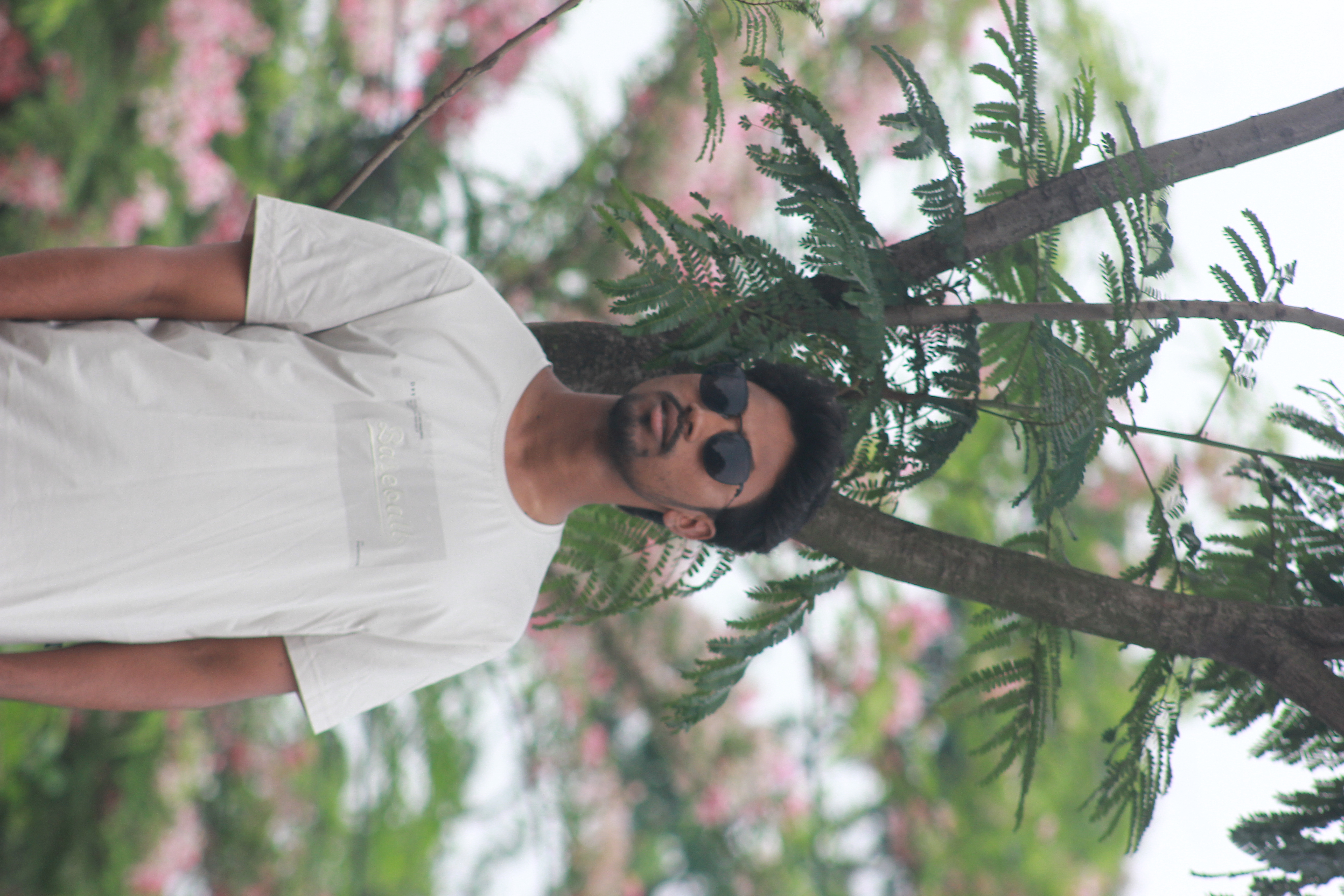 শ্রী আকাশ চন্দ্র দে